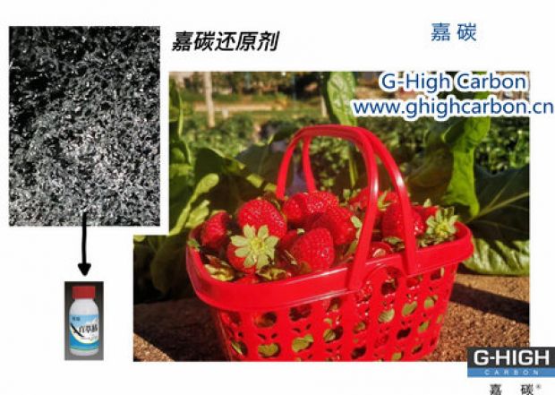 嘉碳還原劑守護“莓”好，甜蜜上線
