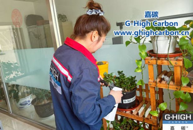 午休時光種花忙，美化辦公環(huán)境添綠意